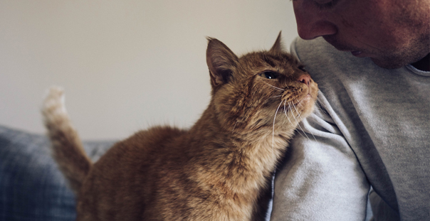 Oakland Veterinarians